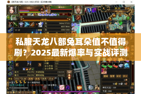 私服天龙八部兔耳朵值不值得刷？2025最新爆率与实战评测