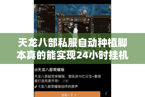 天龙八部私服自动种植脚本真的能实现24小时挂机吗？玩家实测数据揭秘