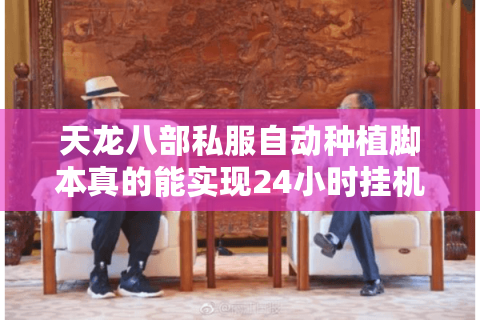 天龙八部私服自动种植脚本真的能实现24小时挂机吗？玩家实测数据揭秘