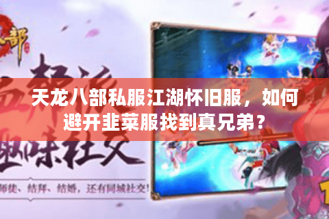 天龙八部私服江湖怀旧服，如何避开韭菜服找到真兄弟？