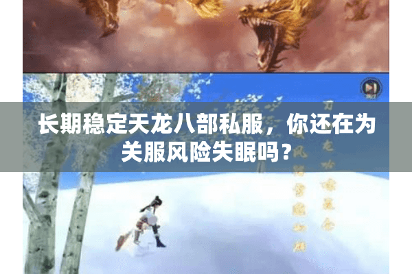 长期稳定天龙八部私服，你还在为关服风险失眠吗？