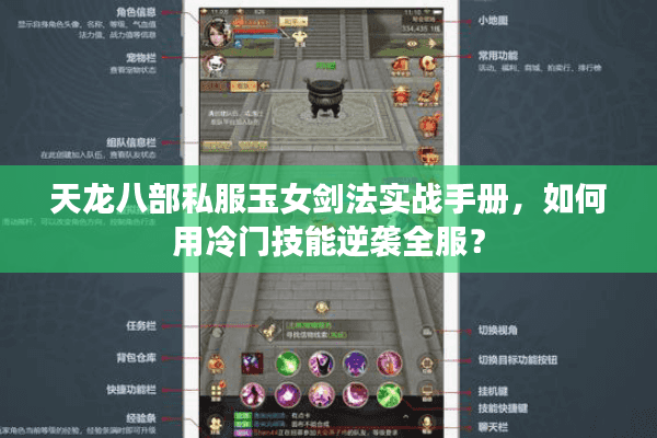 天龙八部私服玉女剑法实战手册，如何用冷门技能逆袭全服？