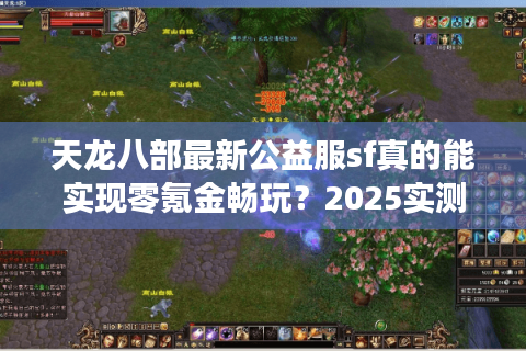 天龙八部最新公益服sf真的能实现零氪金畅玩？2025实测报告揭秘