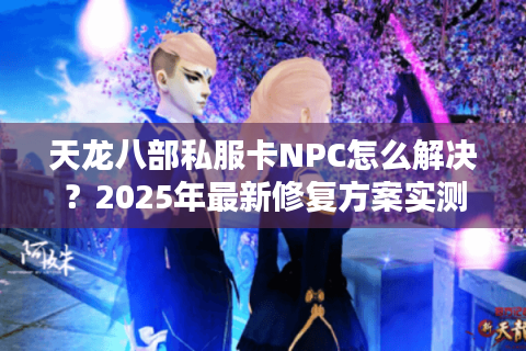 天龙八部私服卡NPC怎么解决？2025年最新修复方案实测