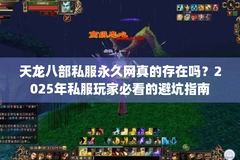天龙八部私服永久网真的存在吗？2025年私服玩家必看的避坑指南