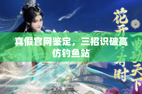 真假官网鉴定，三招识破高仿钓鱼站