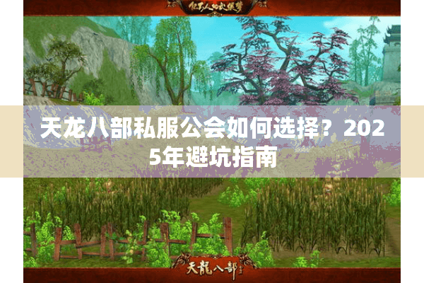 天龙八部私服公会如何选择？2025年避坑指南