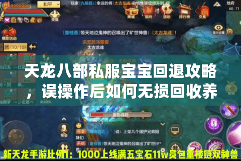 天龙八部私服宝宝回退攻略,误操作后如何无损回收养成资源? 天龙八部私服宝宝回退攻略,误操作后如何无损回收养成资源?