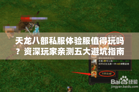 天龙八部私服体验服值得玩吗？资深玩家亲测五大避坑指南