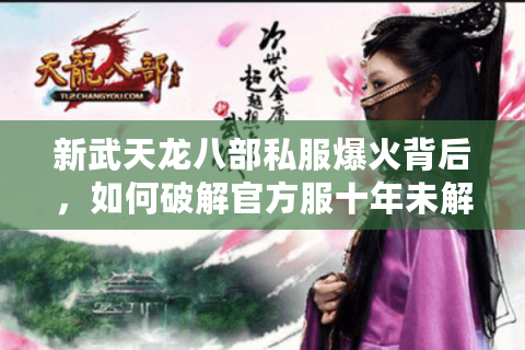 新武天龙八部私服爆火背后，如何破解官方服十年未解决的玩家痛点？