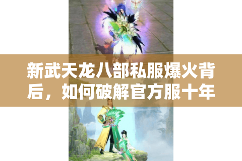 新武天龙八部私服爆火背后，如何破解官方服十年未解决的玩家痛点？