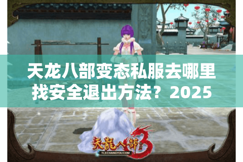 天龙八部变态私服去哪里找安全退出方法？2025老玩家实测避坑指南