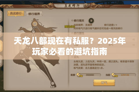 天龙八部现在有私服？2025年玩家必看的避坑指南