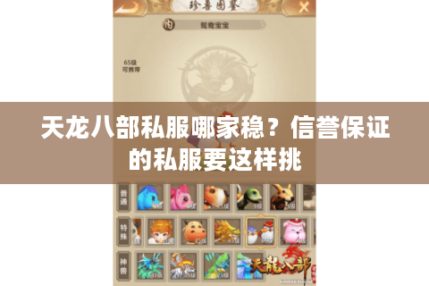 天龙八部私服哪家稳？信誉保证的私服要这样挑