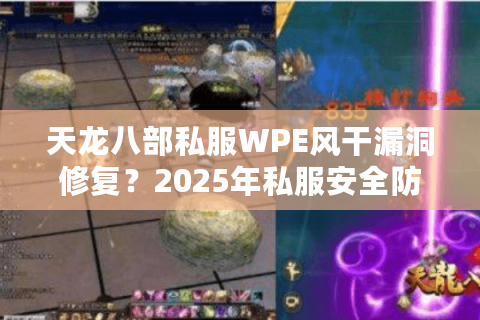 天龙八部私服WPE风干漏洞修复？2025年私服安全防护终极指南