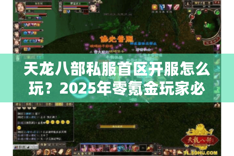 天龙八部私服首区开服怎么玩？2025年零氪金玩家必看新服开荒攻略