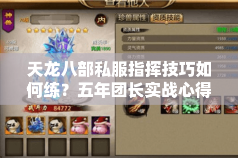 天龙八部私服指挥技巧如何练？五年团长实战心得分享