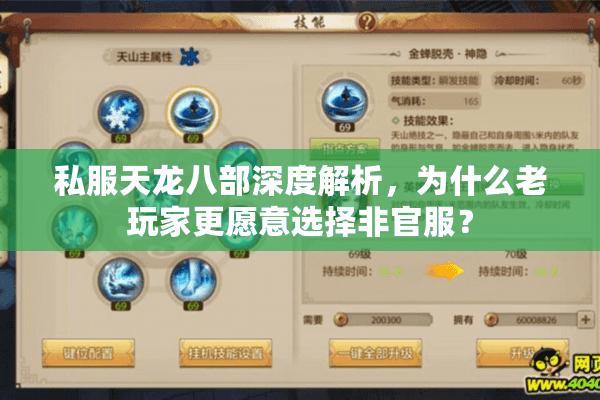 私服天龙八部深度解析，为什么老玩家更愿意选择非官服？