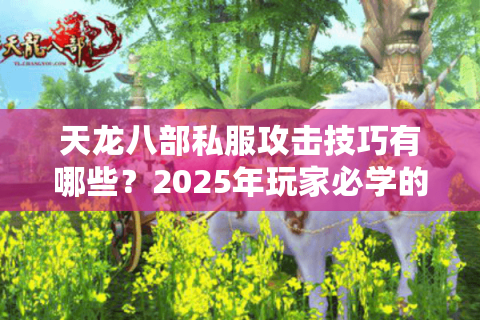 天龙八部私服攻击技巧有哪些？2025年玩家必学的五大战术解析