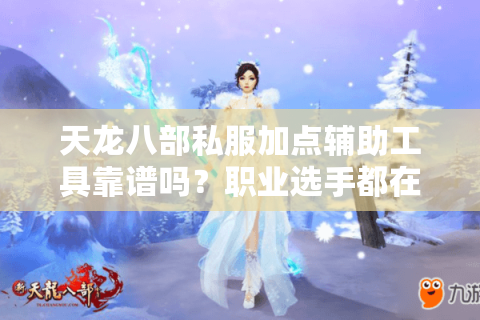 天龙八部私服加点辅助工具靠谱吗？职业选手都在用的攻略揭秘