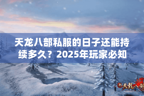 天龙八部私服的日子还能持续多久？2025年玩家必知的三大生存法则