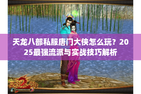 天龙八部私服唐门大侠怎么玩?2025最强流派与实战技巧解析 天龙八部私服唐门大侠怎么玩?2025最强流派与实战技巧解析