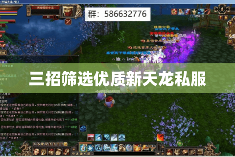 三招筛选优质新天龙私服 三招筛选优质新天龙私服