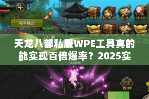 天龙八部私服WPE工具真的能实现百倍爆率？2025实测数据揭秘