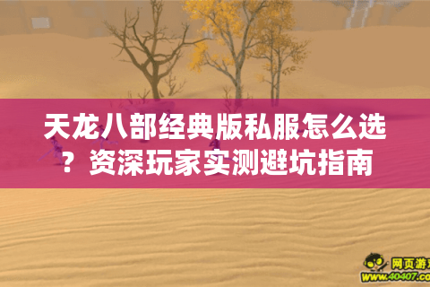 天龙八部经典版私服怎么选？资深玩家实测避坑指南