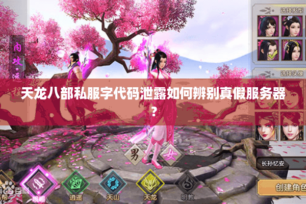 天龙八部私服字代码泄露如何辨别真假服务器？