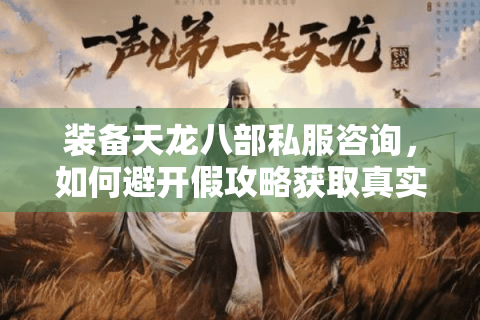 装备天龙八部私服咨询，如何避开假攻略获取真实爆装数据？