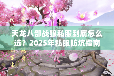 天龙八部战狼私服到底怎么选？2025年私服防坑指南