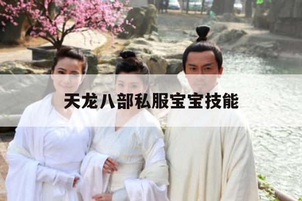 天龙八部私服宝宝技能打造与峨嵋技能解析