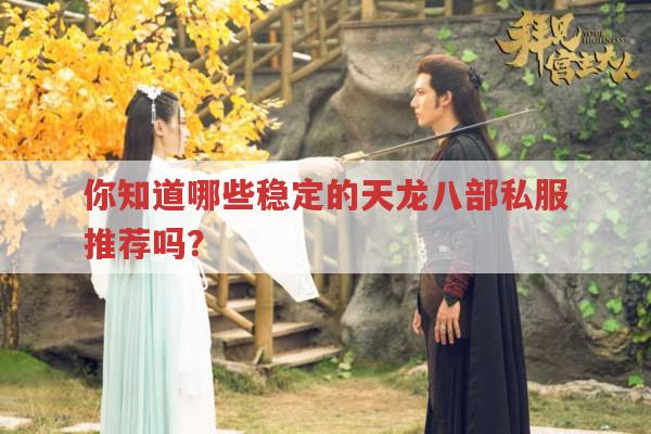 你知道哪些稳定的天龙八部私服推荐吗?