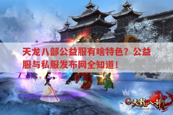 天龙八部公益服有啥特色?公益服与私服发布网全知道！