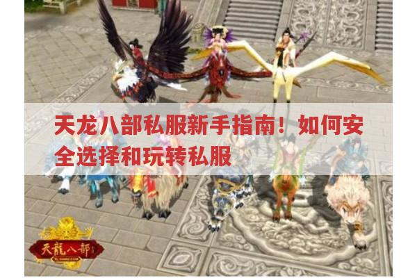 天龙八部私服新手指南！如何安全选择和玩转私服