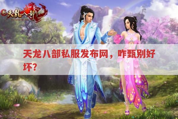 天龙八部私服发布网,咋甄别好坏?