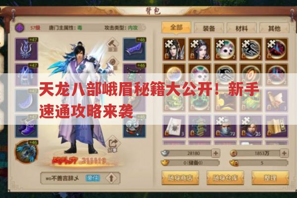 天龙八部,峨眉秘籍大揭秘！新手速通攻略震撼来袭