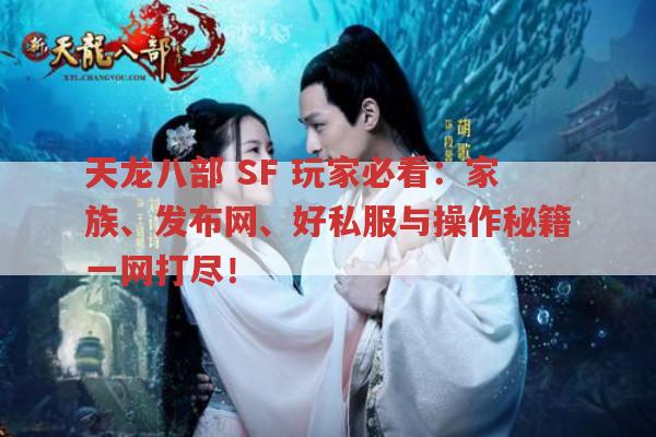 天龙八部,SF,玩家必看：家族、发布网、好私服与操作秘籍一网打尽！