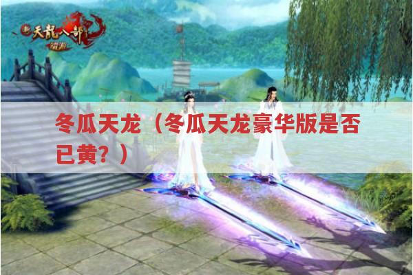 冬瓜天龙豪华版是否已黄?（冬瓜天龙相关内容探讨）