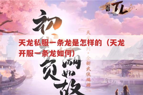 天龙私服一条龙全揭秘！天龙开服一条龙到底如何?