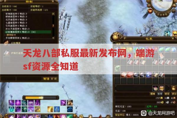 天龙八部私服发布网,端游sf资源全掌握