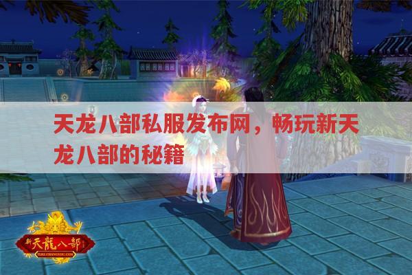 天龙八部私服发布网,畅玩新天龙八部的秘籍