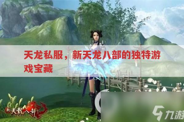 天龙私服,新天龙八部的独特游戏宝藏