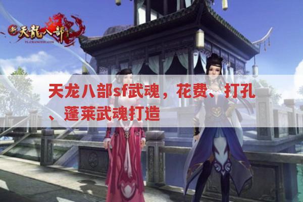 天龙八部sf武魂攻略,打造、打孔与蓬莱武魂