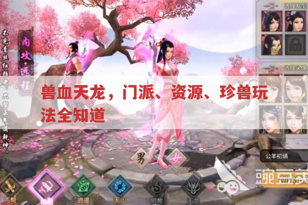 兽血天龙玩法,角色、资源、珍兽、属性攻击全解析