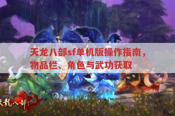 天龙八部sf单机版,物品栏操作与角色类型全解析