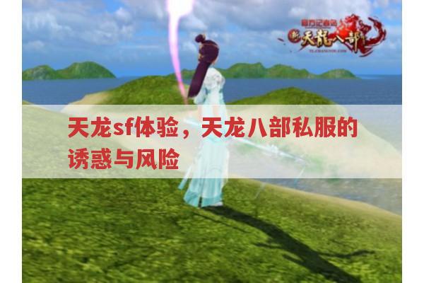 天龙八部粉丝看过来,天龙私服那些鲜为人知的事儿