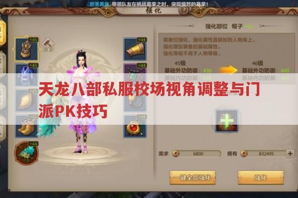 天龙sf校场视角调整与门派PK技巧有哪些?