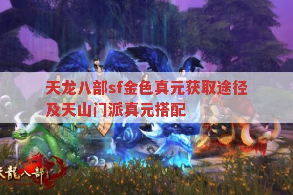 天龙sf金色真元获取途径及天山门派真元搭配